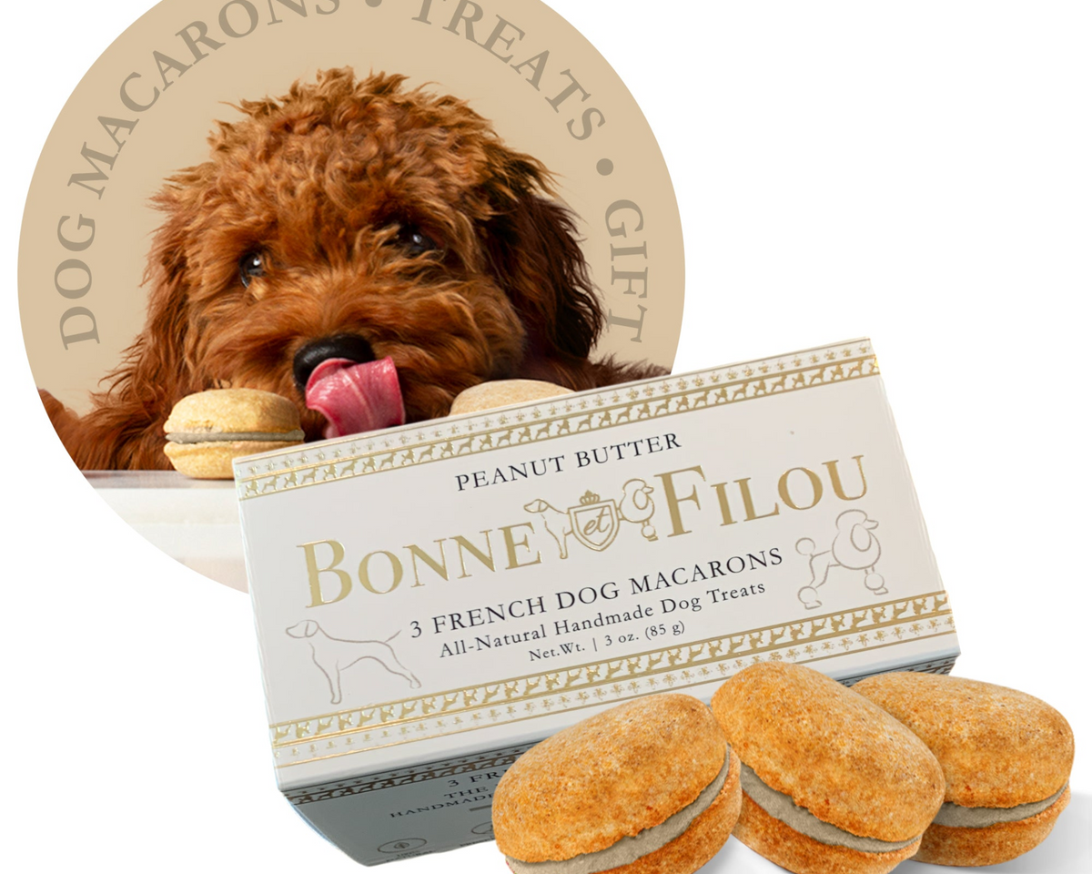 Dog Macarons (Box of 3)