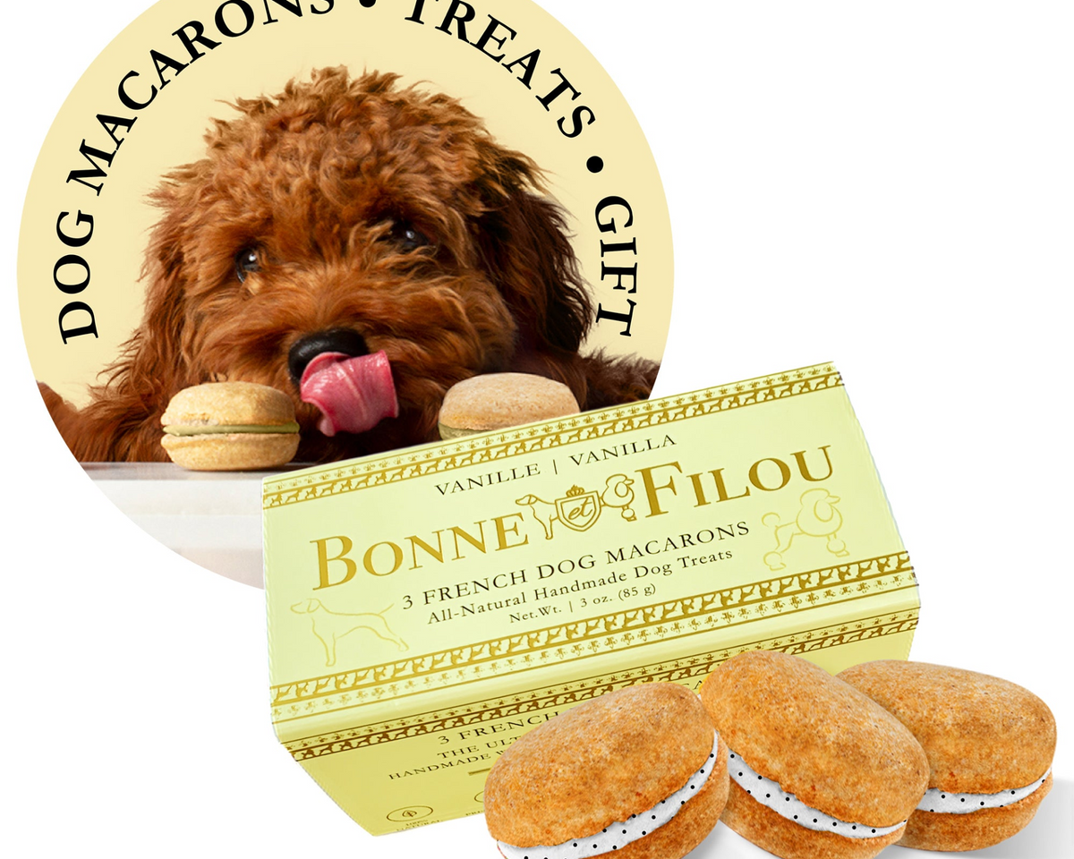 Dog Macarons (Box of 3)