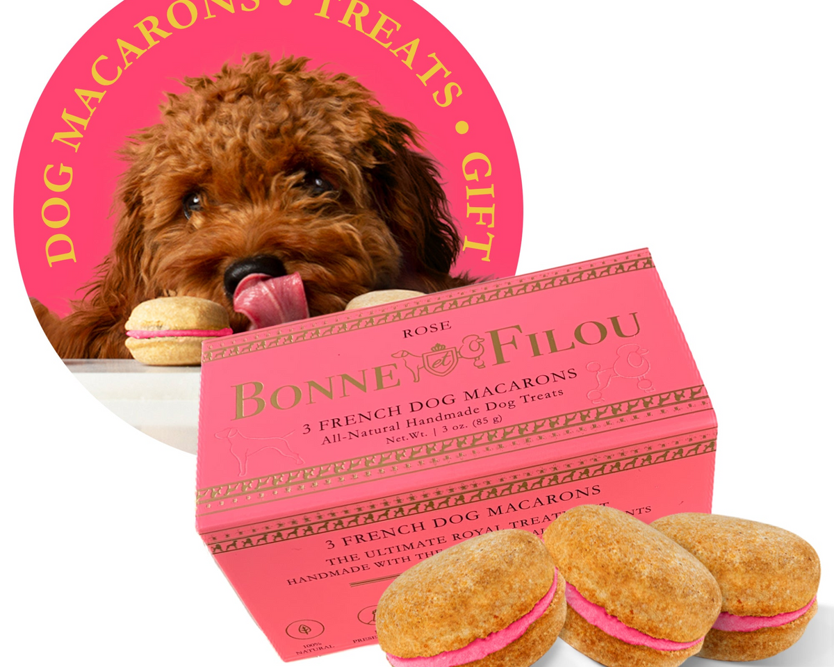 Dog Macarons (Box of 3)