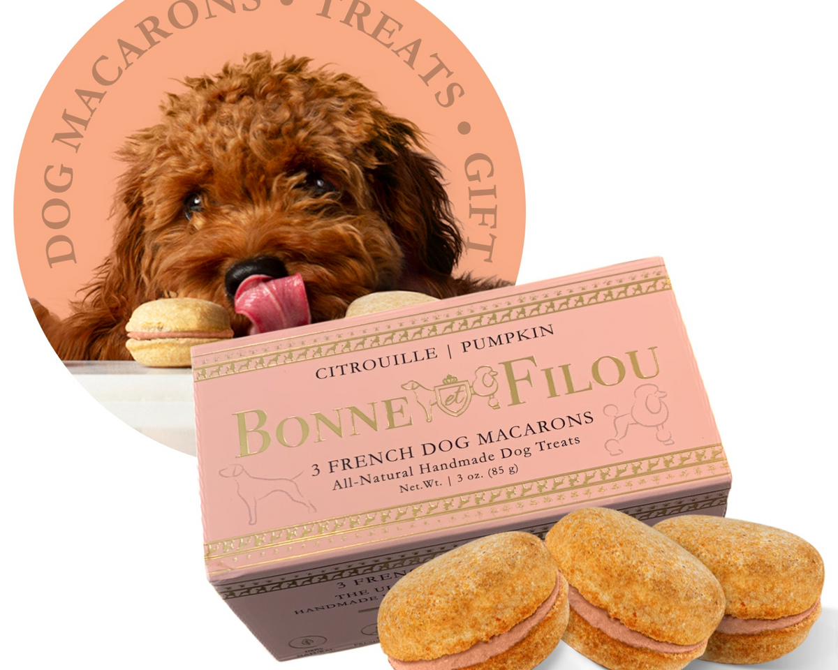 Dog Macarons (Box of 3)