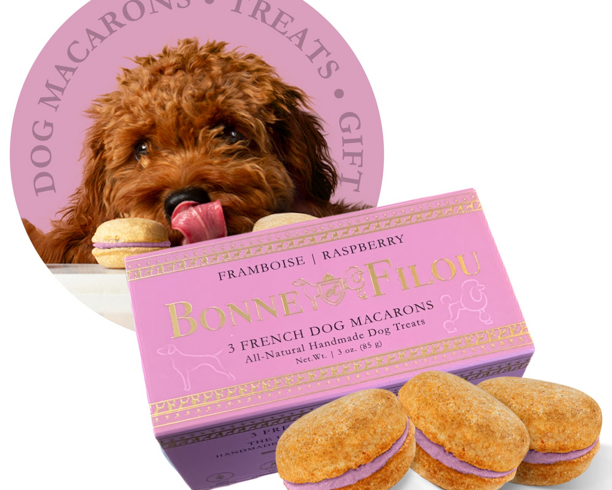 Dog Macarons (Box of 3)