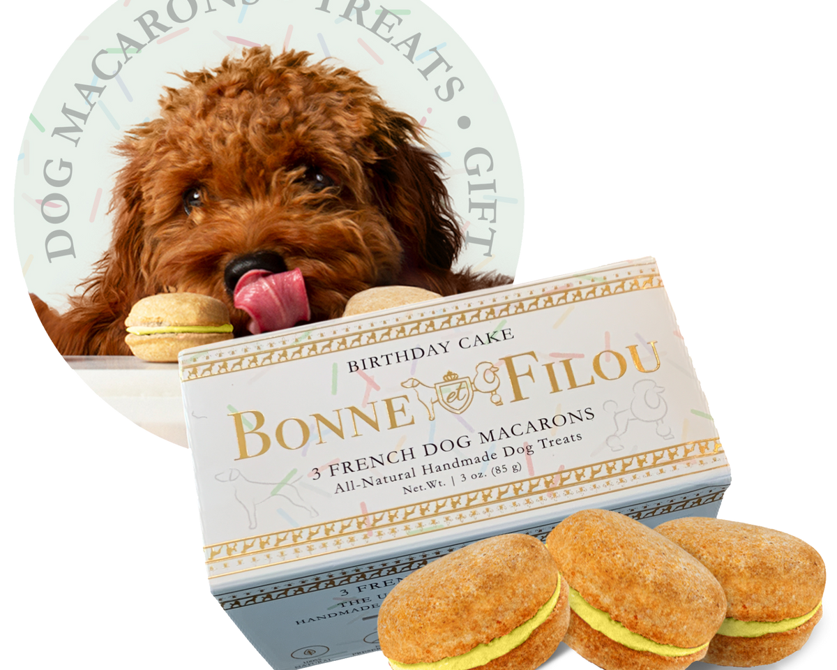 Dog Macarons (Box of 3)