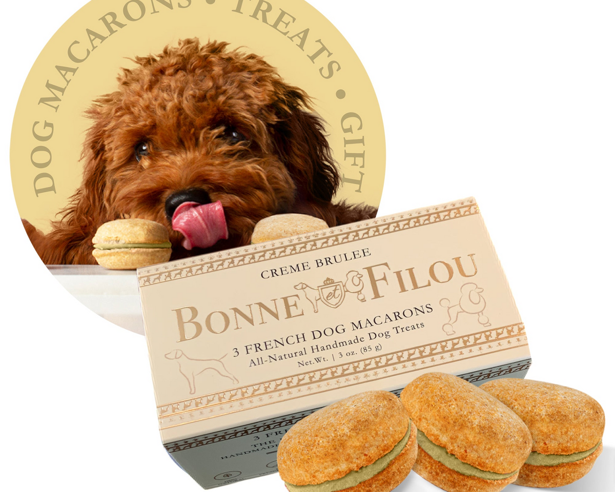 Dog Macarons (Box of 3)