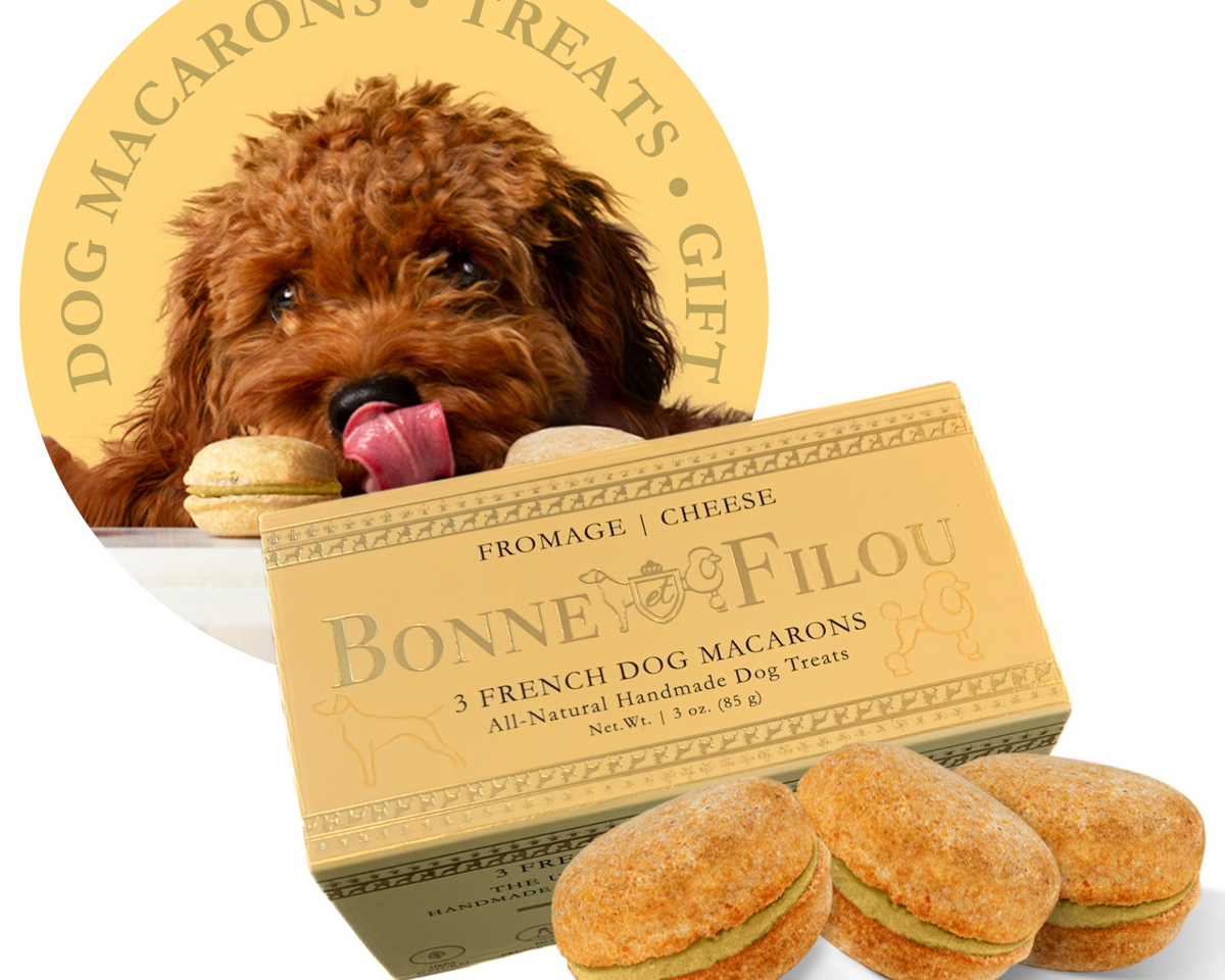 Dog Macarons (Box of 3)