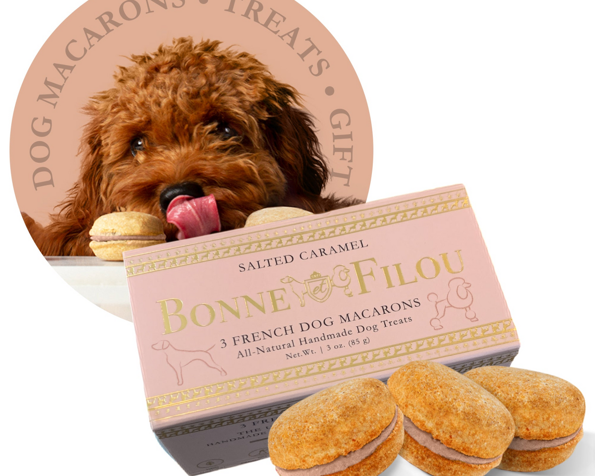 Dog Macarons (Box of 3)