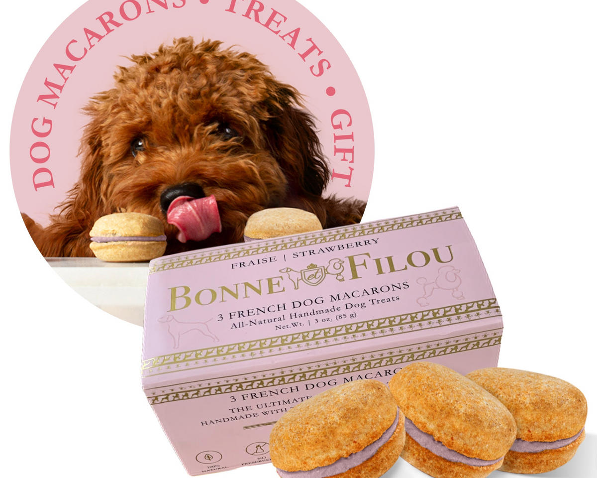 Dog Macarons (Box of 3)