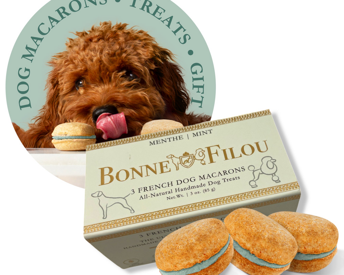 Dog Macarons (Box of 3)