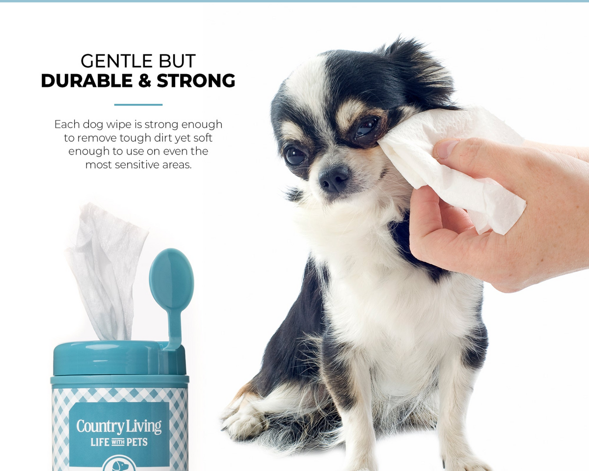 75 Fragrance Free Dog Wipes