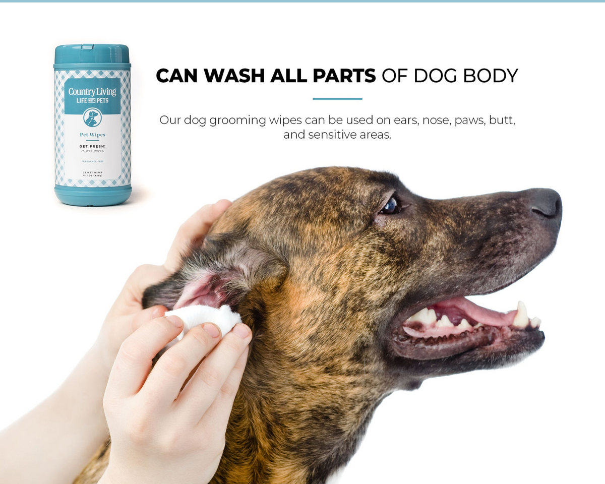 75 Fragrance Free Dog Wipes