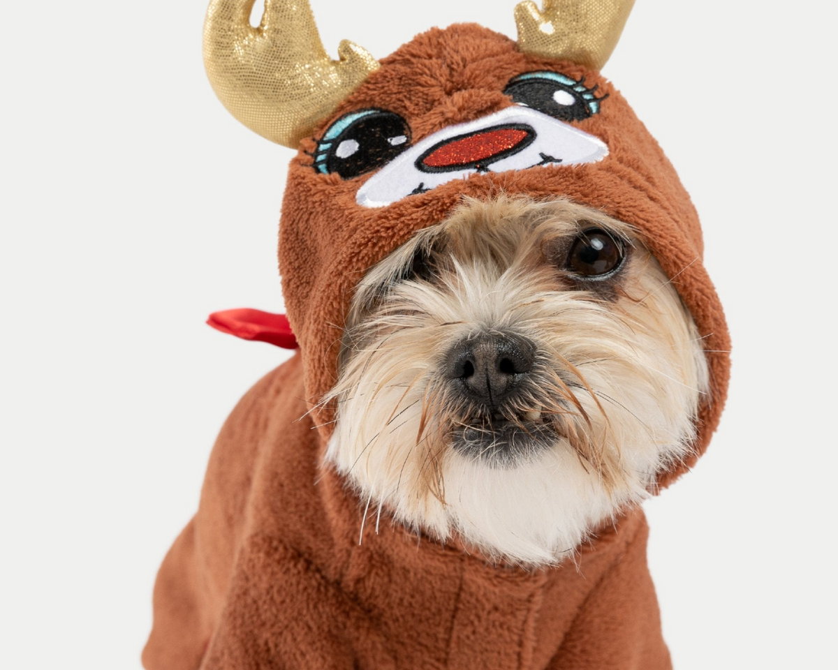 Reindeer Dog Pajama